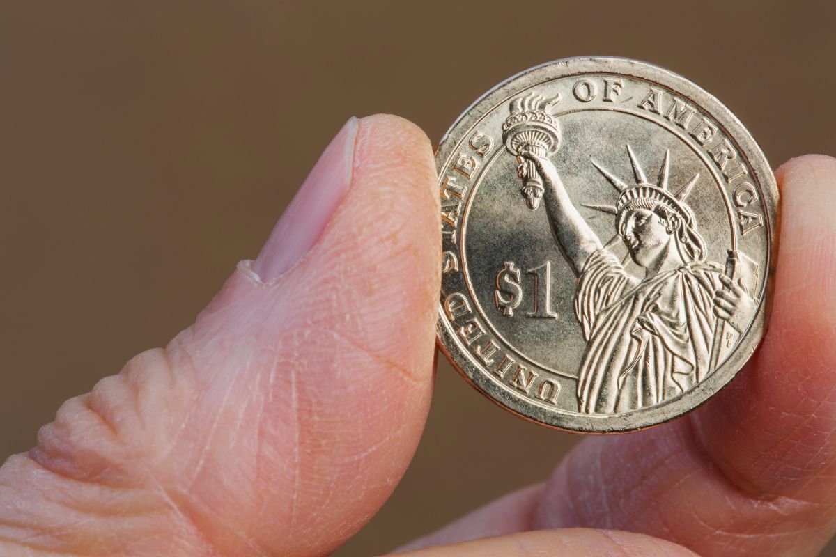 Person holding one dollar coin